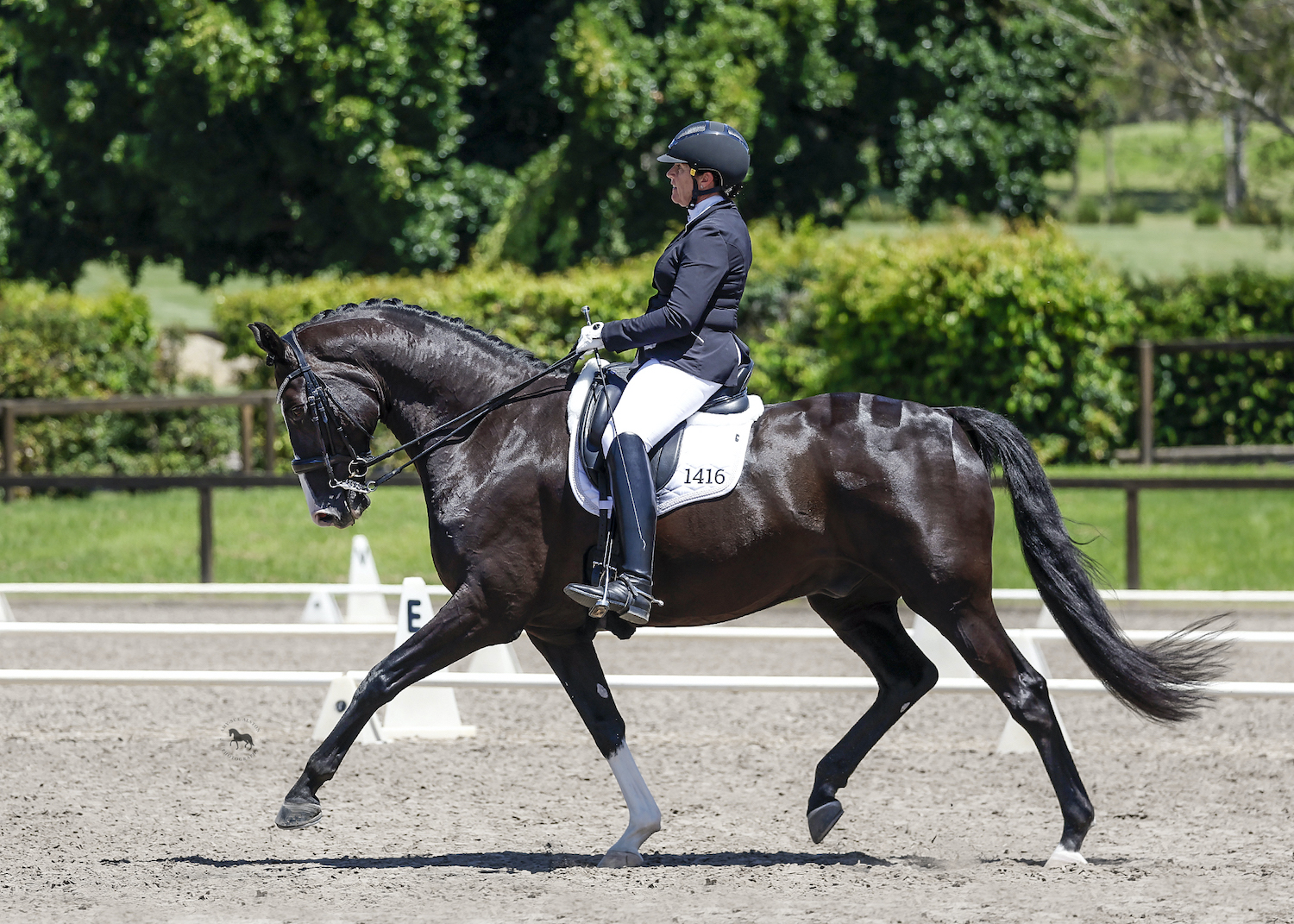 Dressage Tests Dressage New South Wales